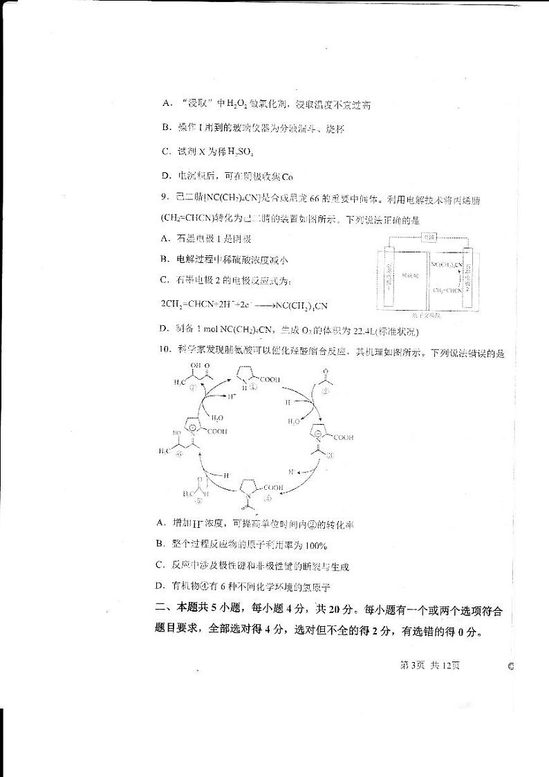 山东省德州市2023_2024学年高三化学上学期1月期末考试pdf含解析第3页