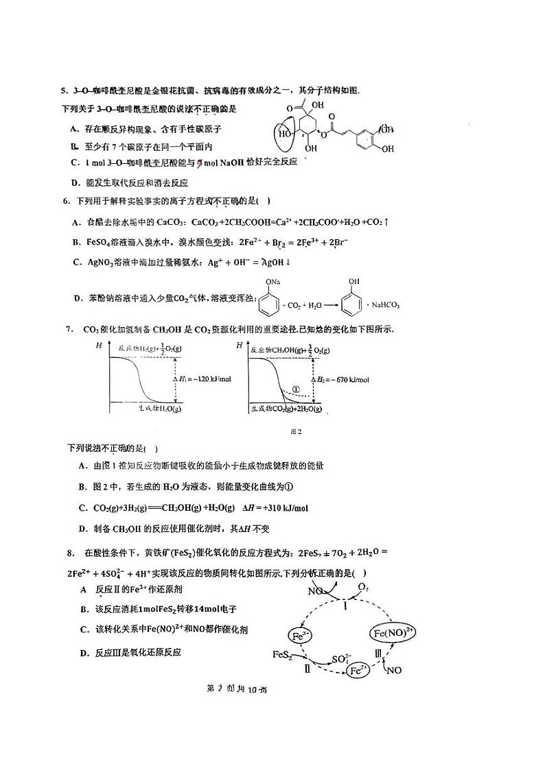 北京市2023_2024学年高三化学上学期期中试题pdf第2页