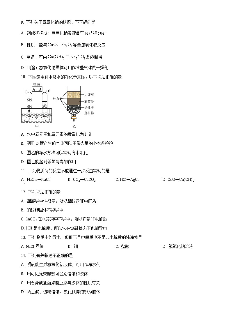 广东省深圳市桃源居中澳实验学校2024-2025学年高一上学期新生入学化学试题（原卷版）第3页