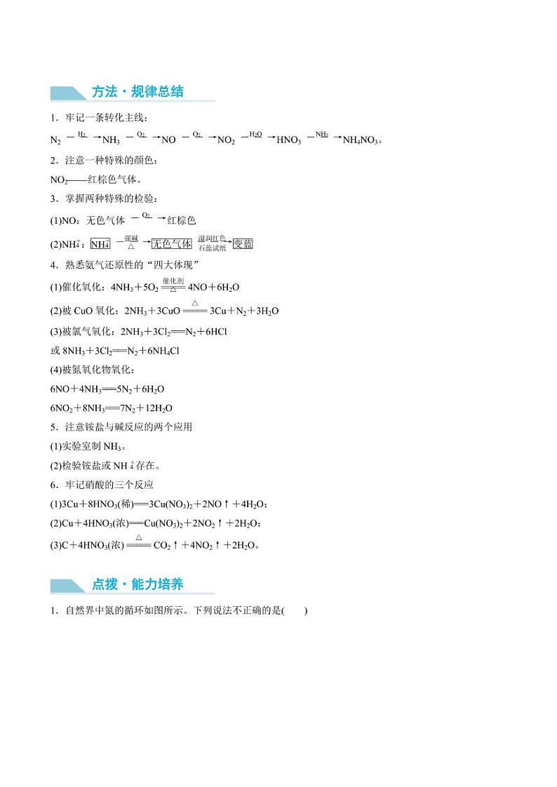 第24讲 氮及其化合物的转化关系-2025年高考化学大一轮复习卓越讲义（含答案）02