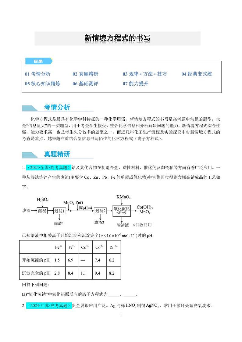 新情境方程式的书写（原卷版）第1页