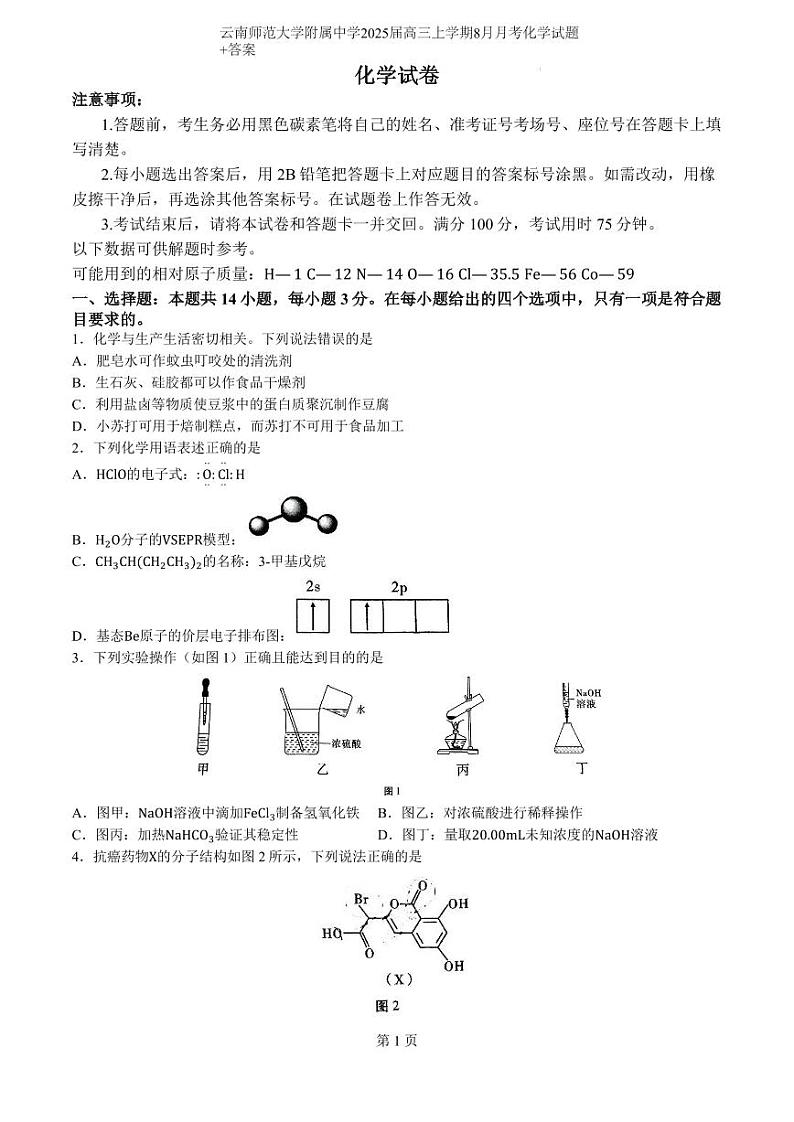 云南省昆明市云南师范大学附属中学2024-2025学年高三上学期8月月考化学试题（含解析）01