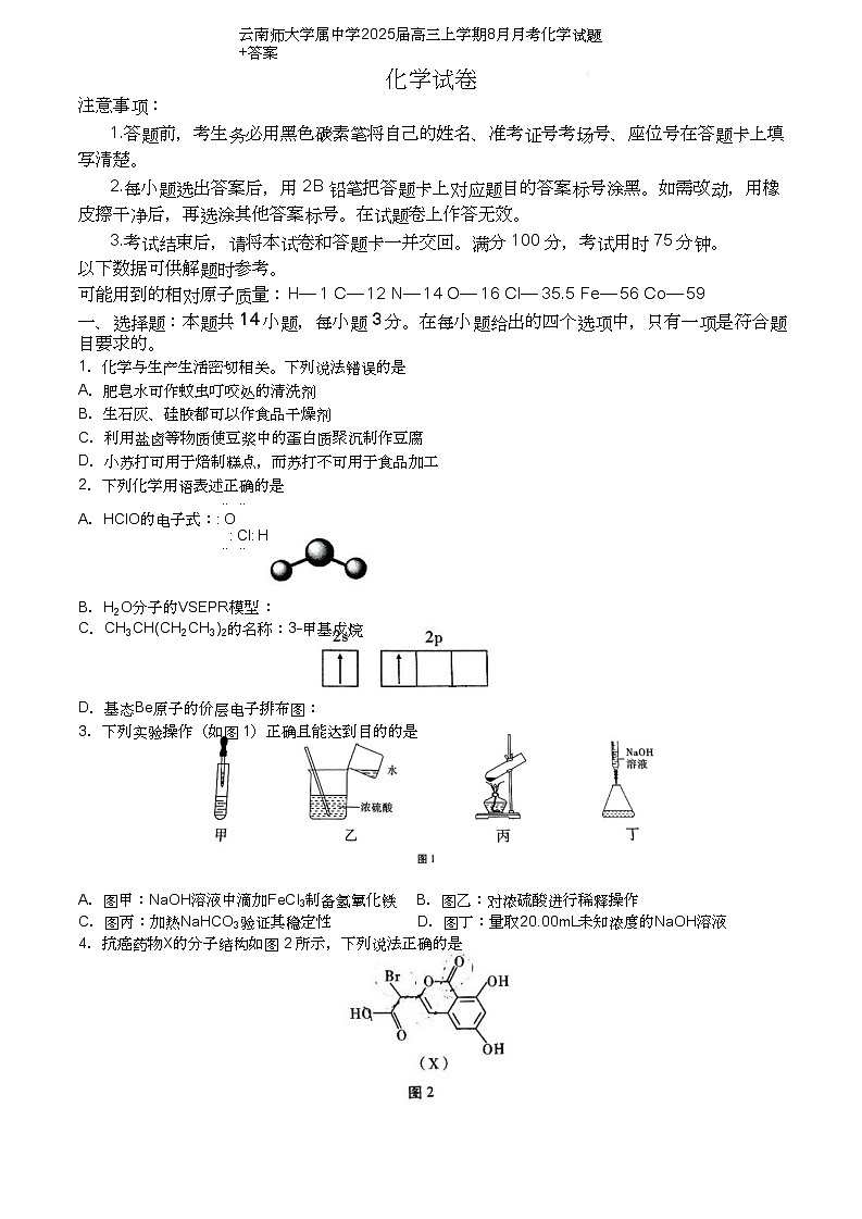 云南省昆明市云南师范大学附属中学2024-2025学年高三上学期8月月考化学试题（含解析）01