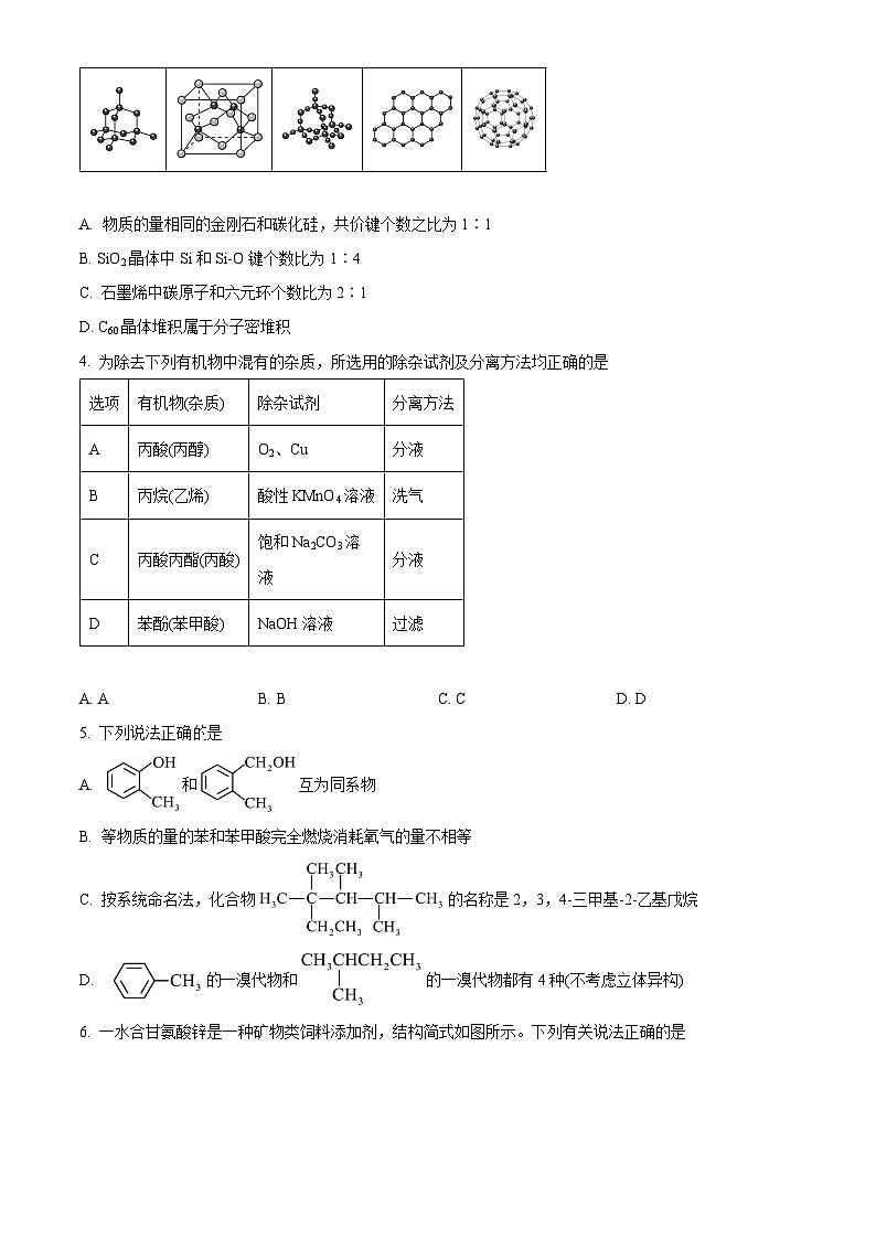 广东省广州市执信中学2023-2024学年高二下学期期末考试化学试题（原卷版）02
