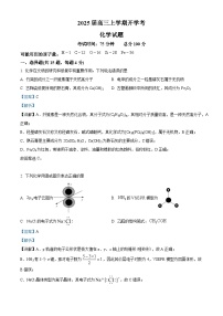 福建省龙岩一中2025届高三上学期开学考试化学试题（解析版）