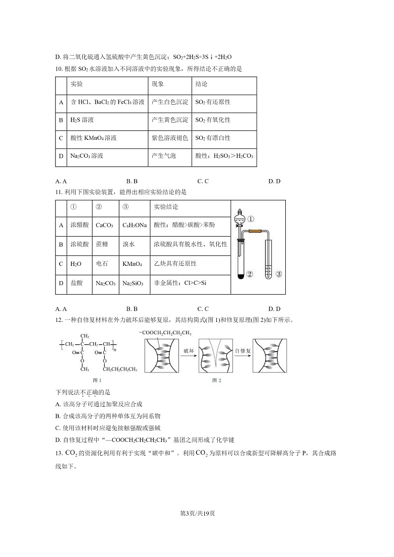 [化学]2024北京北师大二附中高三上学期开学考化学试卷及答案第3页