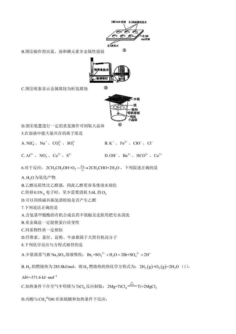 浙江七彩阳光新高考研究联盟2025届高三上学期返校联考化学试题+答案第2页