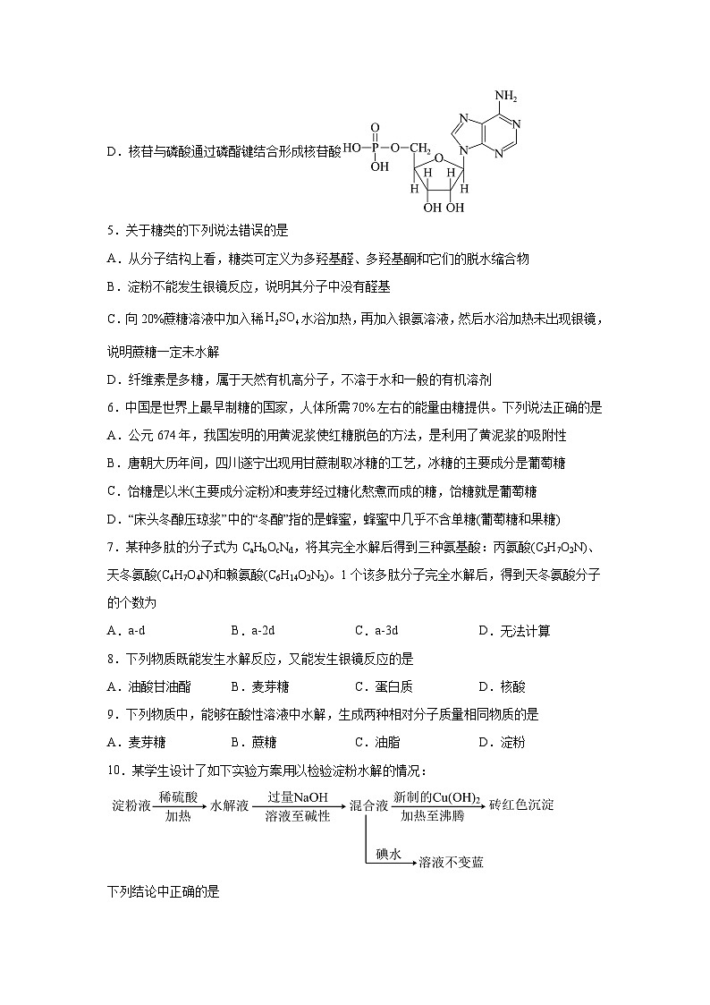 高中化学选择性必修3第四章生物大分子(B卷)含解析答案第2页