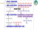 人教版 (新课标)选修5 有机化学基础 1.2 有机化合物的结构特点 课件