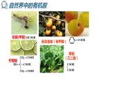 人教版 (新课标)选修5 有机化学基础 3-3 羧酸  酯(1)酸 课件