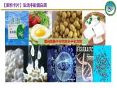 人教版 (新课标)选修5 有机化学基础 4.3 蛋白质和核酸 课件