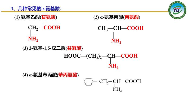人教版 (新课标)选修5 有机化学基础 4.3 蛋白质和核酸 课件06