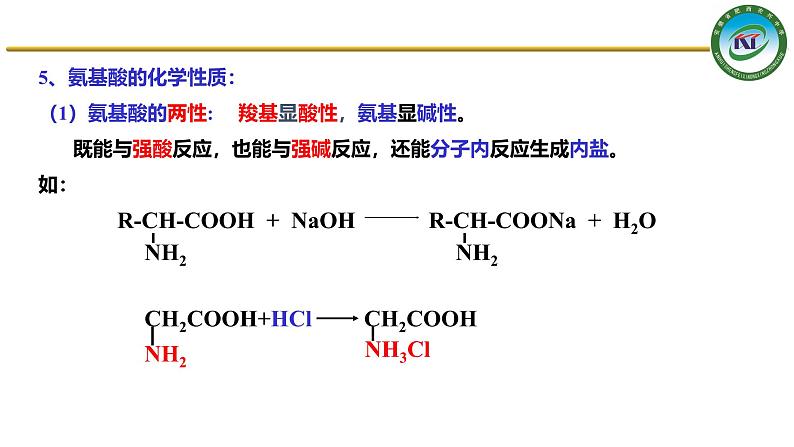 人教版 (新课标)选修5 有机化学基础 4.3 蛋白质和核酸 课件08