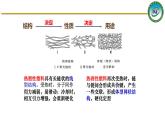 人教版 (新课标)选修5 有机化学基础 5.2 应用广泛的高分子材料 课件