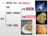 人教版 (新课标)必修1 4.1 无机非金属材料的主角－－硅（第1课时 二氧化硅和硅酸） 课件