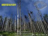 人教版 (新课标)必修1 4.3 硫和氮的氧化物（第1课时 硫的氧化物） 课件