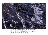 人教版 (新课标)选修4 化学反应原理  2.1  化学反应速率 课件