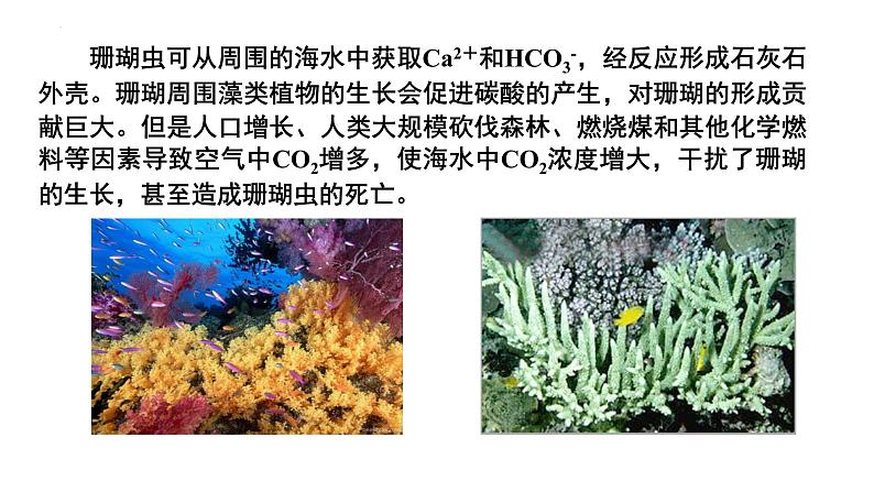 人教版 (新课标)选修4 化学反应原理  3.4 难溶电解质的溶解平衡（第2课时 沉淀反应的应用） 课件04