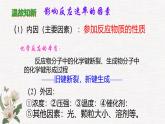 鲁科版选择性必修一  2.3化学反应的速率(第2课时 影响化学反应速率的因素)   课件