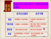 鲁科版选择性必修一  2.4化学反应条件的优化-工业合成氨   课件