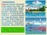 鲁科版选择性必修一  微项目 探讨如何利用工业废气中的二氧化碳合成甲醇  课件