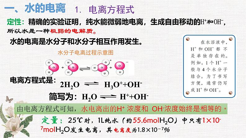 鲁科版选择性必修一  3.1水和水溶液(第1课时水的电离 电解质在水溶液中的存在形态  )   课件04