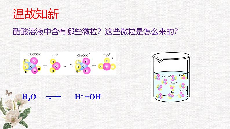 3.2弱电解质的电离 盐类的水解(第3课时 盐类的水解 )（2019鲁科版选修1化学反应原理）第2页