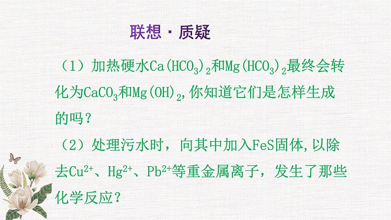 鲁科版选择性必修一  3.3沉淀溶解平衡(第1课时 沉淀溶解平衡与溶度积 )   课件02