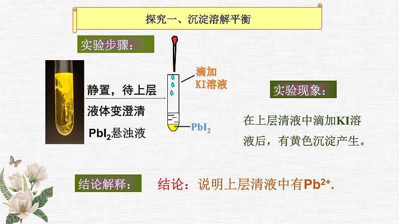 鲁科版选择性必修一  3.3沉淀溶解平衡(第1课时 沉淀溶解平衡与溶度积 )   课件04