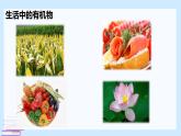 鲁科版选择性必修3 1.1.1  有机化学的发展    有机化合物的分类 课件