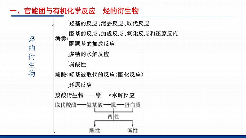鲁科版选择性必修3 第2章  官能团与有机化学反应    烃的衍生物 课件05