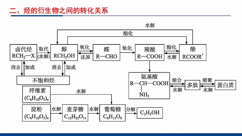 鲁科版选择性必修3 第2章  官能团与有机化学反应    烃的衍生物 课件06