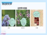 鲁科版选择性必修3 2.2.2    酚及其性质 课件