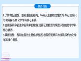 鲁科版选择性必修3 2.4.1    羧酸  酯和油脂 课件