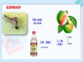 鲁科版选择性必修3 2.4.1    羧酸  酯和油脂 课件
