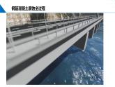 沪科版2020高二化学选择性必修第一册 4.4金属的电化学腐蚀与防护 课件
