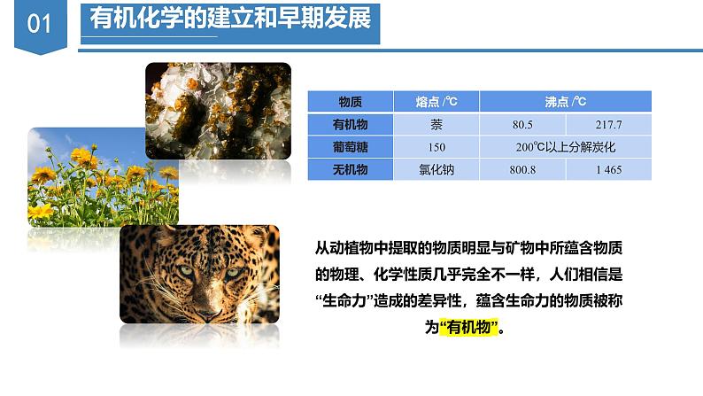 沪科版2019高二化学选择性必修三  1.1有机化学的建立与发展 课件06