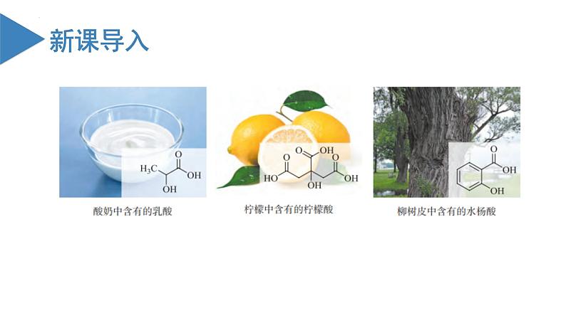 沪科版2019高二化学选择性必修三 3.3.1羧酸及其衍生物（第1课时羧酸） 课件+教案03
