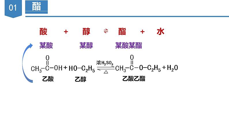 沪科版2019高二化学选择性必修三 3.3.2羧酸及其衍生物（第2课时酯与酰胺） 课件+教案07