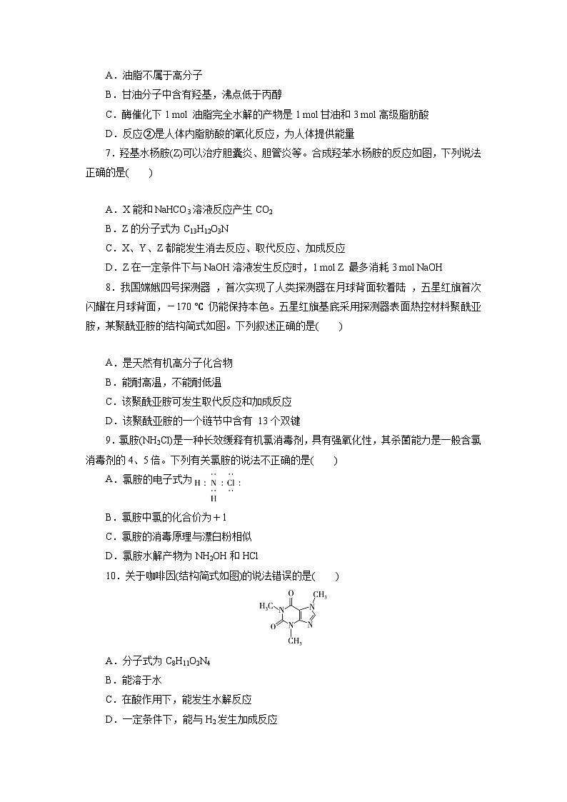 3.3.2羧酸及其衍生物（第2课时 酯与酰胺）（原卷版）第2页