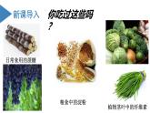 沪科版2019高二化学选择性必修三  4.1.1糖类的组成和分类单糖 课件