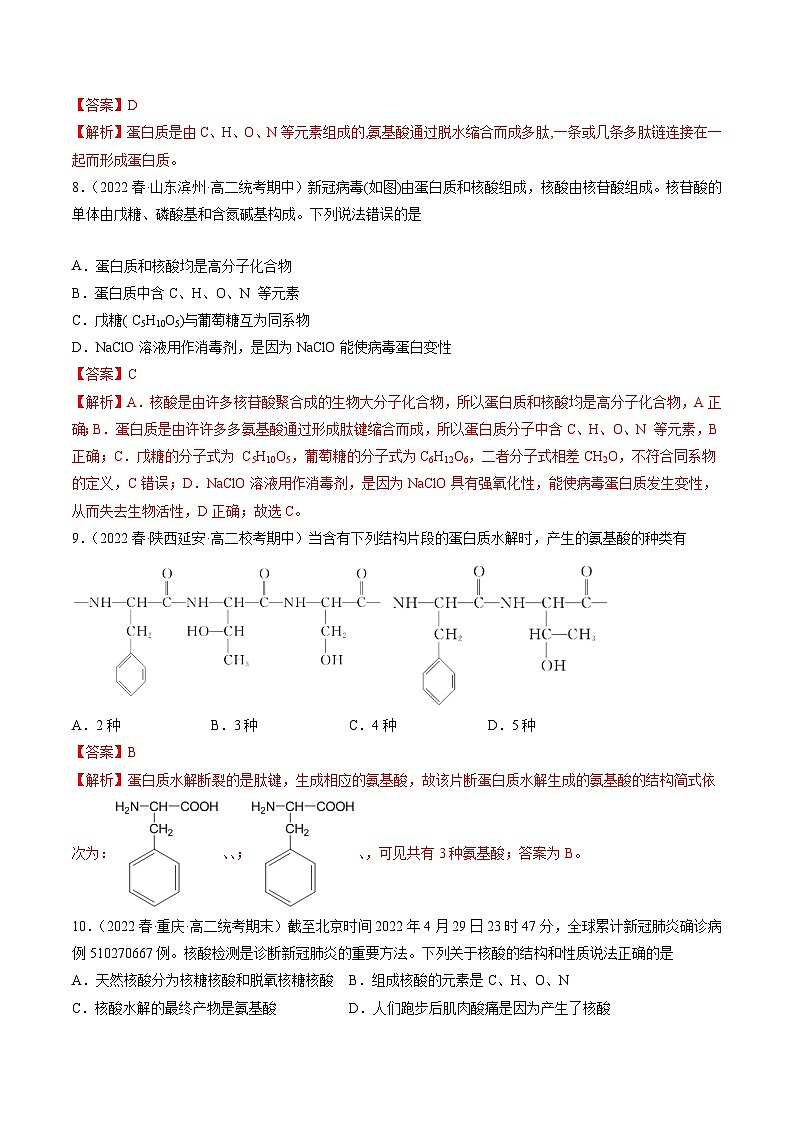 沪科版2019高二化学选择性必修三 4.1.2氨基酸与蛋白质核酸 分层作业03