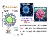 沪科版2019高二化学选择性必修三  4.1.3氨基酸与蛋白质核酸 课件