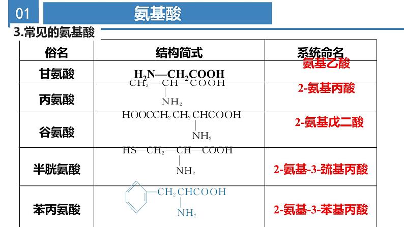 沪科版2019高二化学选择性必修三  4.1.3氨基酸与蛋白质核酸 课件06