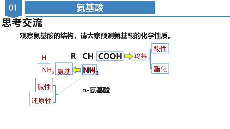 沪科版2019高二化学选择性必修三  4.1.3氨基酸与蛋白质核酸 课件07