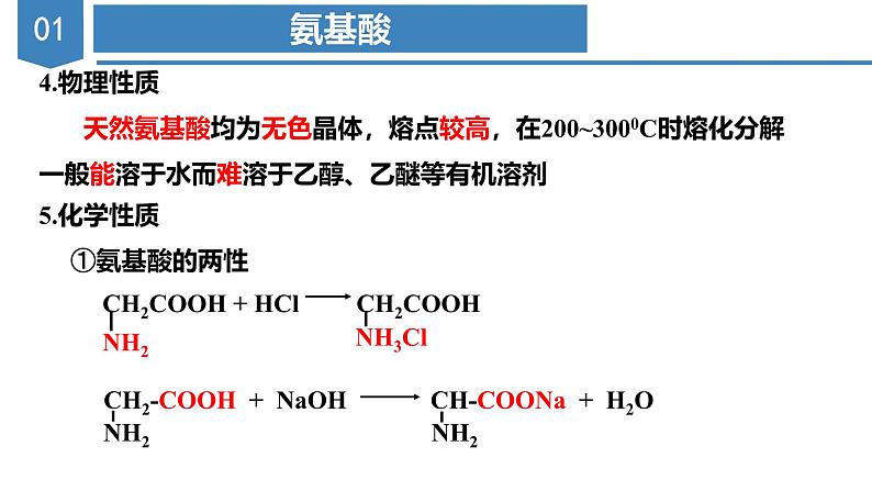 沪科版2019高二化学选择性必修三  4.1.3氨基酸与蛋白质核酸 课件08