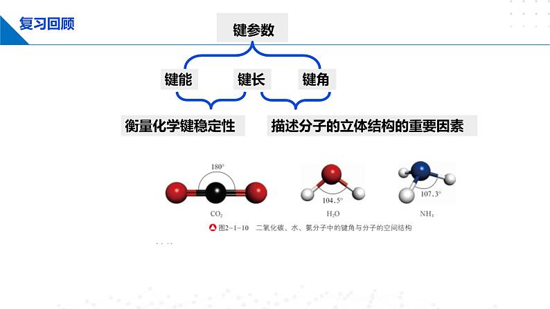 鲁科版2019高二化学选择性必修二 2.2.1杂化轨道理论 课件03