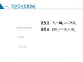 苏教版2019高二化学选择性必修第一册 2.2.2化学平衡状态（同步课件）