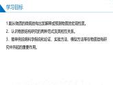 苏教版2019高二化学选择性必修第二册1 揭示物质结构的奥秘（同步课件）