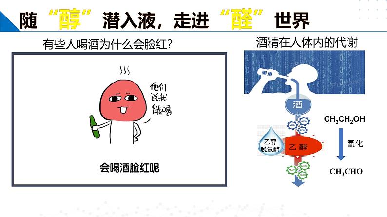 苏教版2019高二化学选择性必修三 4.2.1醛和酮（同步课件）03